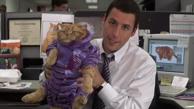 Adam Sandler in a button up shirt and tie holding up a ginger cat that is wearing a purple knitted sweater