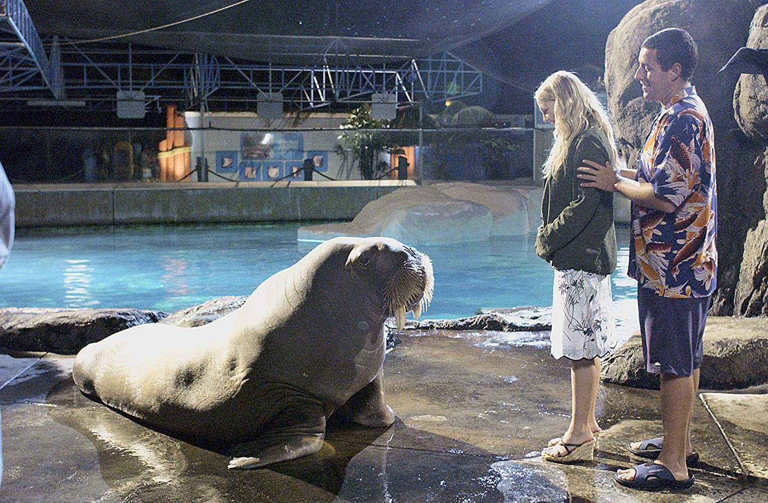 Adam Sandler and Drew Barrymore standing in front of a walrus in a zoo
