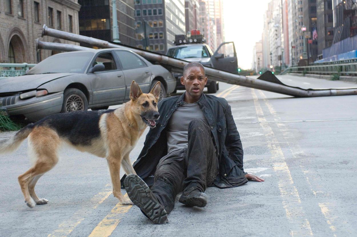 Will Smith sitting on the road next to a German Shepard in I Am Legend