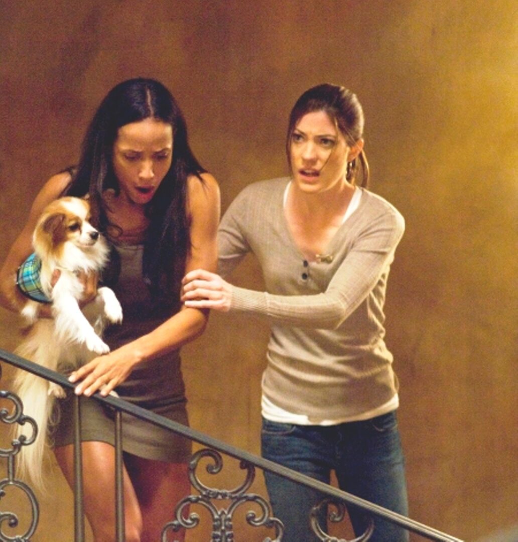 Brown woman holding a Pomeranian being guided down a stair by a white woman