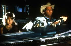 A man wearing a cowboy hat and a young girl sitting on both sides of a white dog inside a car
