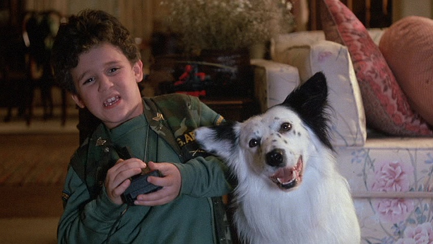 White boy holding a control leaning to the left and a black-and-white Border Collie following his lead