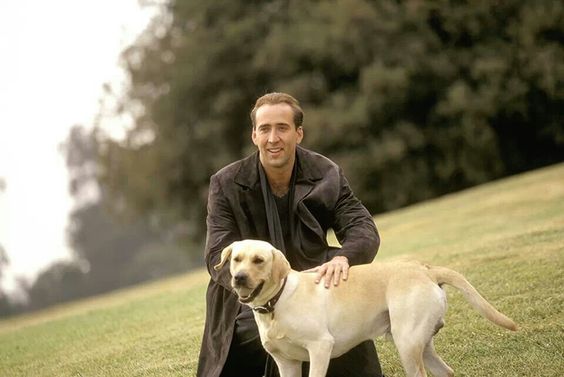 Nicolas Cage petting a light brown Labrador in City of Angels